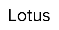 Ремонт стиральных машин Lotus в Мытищах